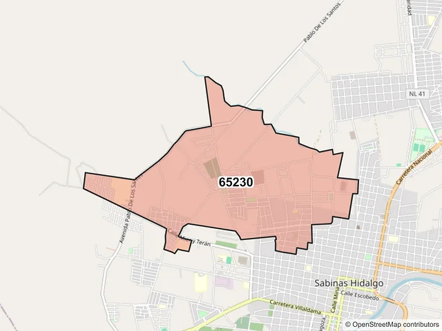 Mapa del código postal 65230, Sabinas Hidalgo, Nuevo León