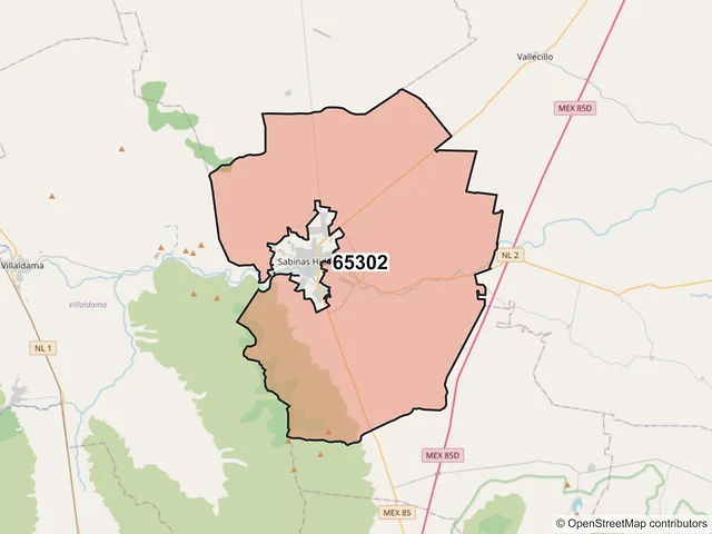Mapa del código postal 65302, Sabinas Hidalgo, Nuevo León