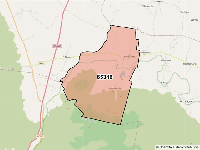 Mapa del código postal 65348, Sabinas Hidalgo, Nuevo León