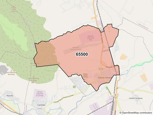 Mapa del código postal 65500, Salinas Victoria, Nuevo León