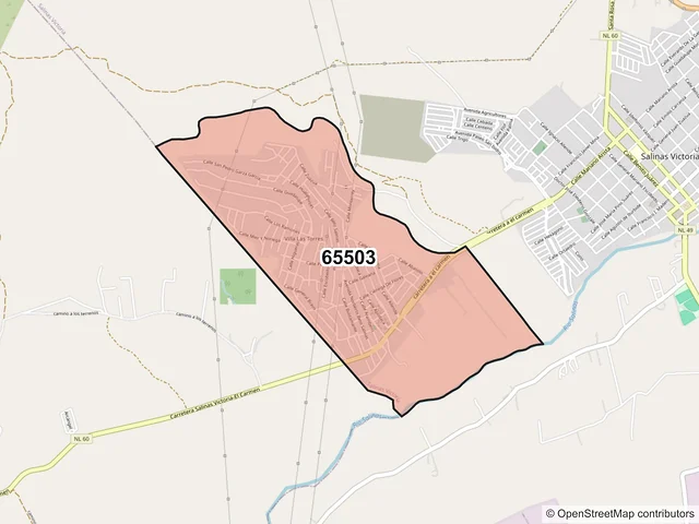 Mapa del código postal 65503, Salinas Victoria, Nuevo León