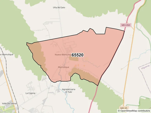 Mapa del código postal 65520, Salinas Victoria, Nuevo León