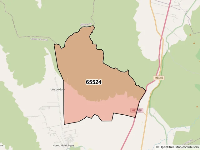 Mapa del código postal 65524, Salinas Victoria, Nuevo León
