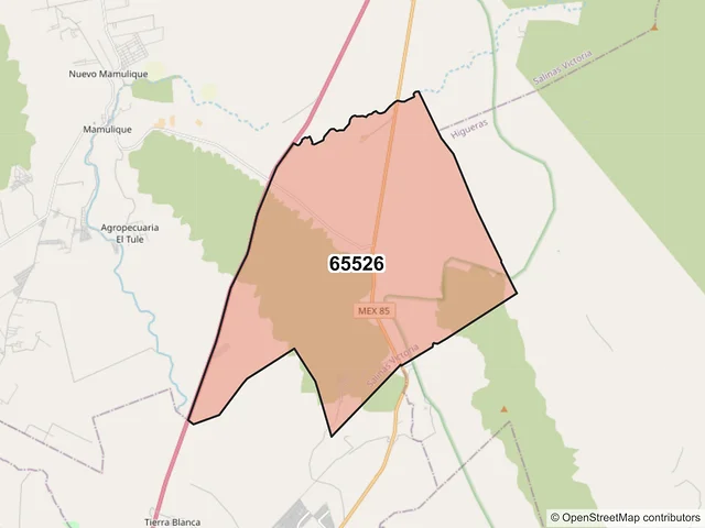 Mapa del código postal 65526, Salinas Victoria, Nuevo León