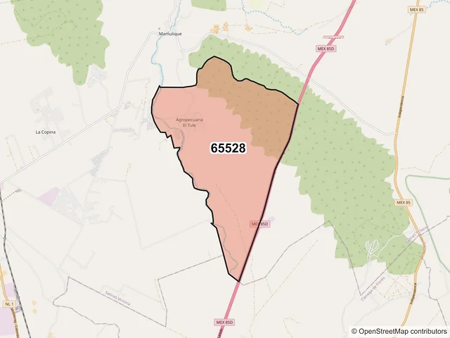 Mapa del código postal 65528, Salinas Victoria, Nuevo León