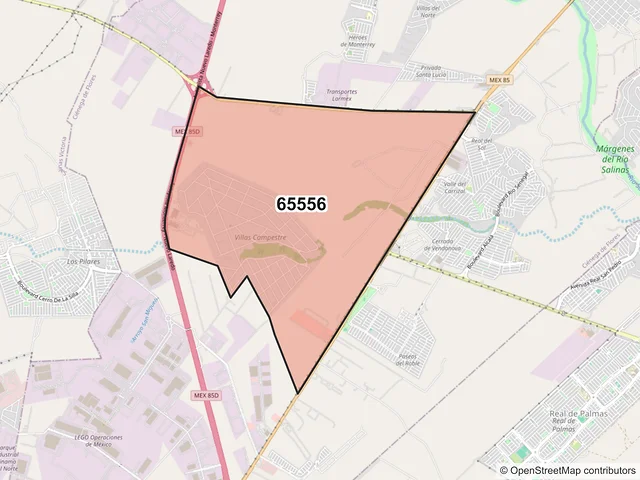 Mapa del código postal 65556, Ciénega de Flores, Nuevo León