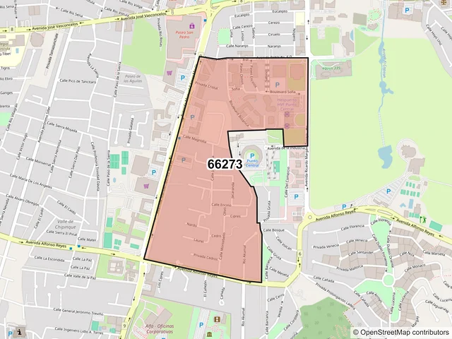 Mapa del código postal 66273, San Pedro Garza García, Nuevo León