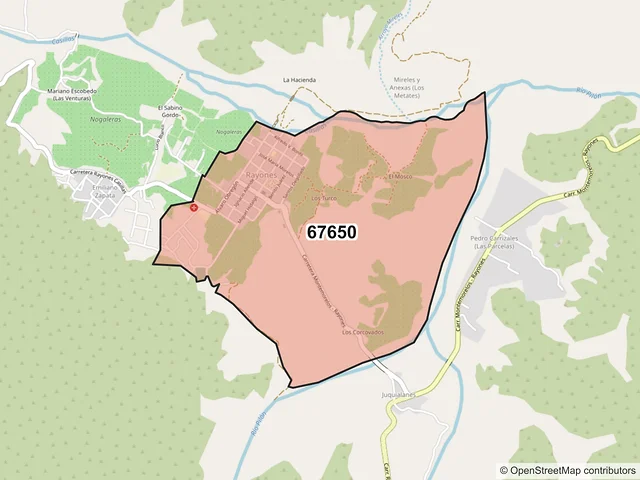 Mapa del código postal 67650, Rayones, Nuevo León
