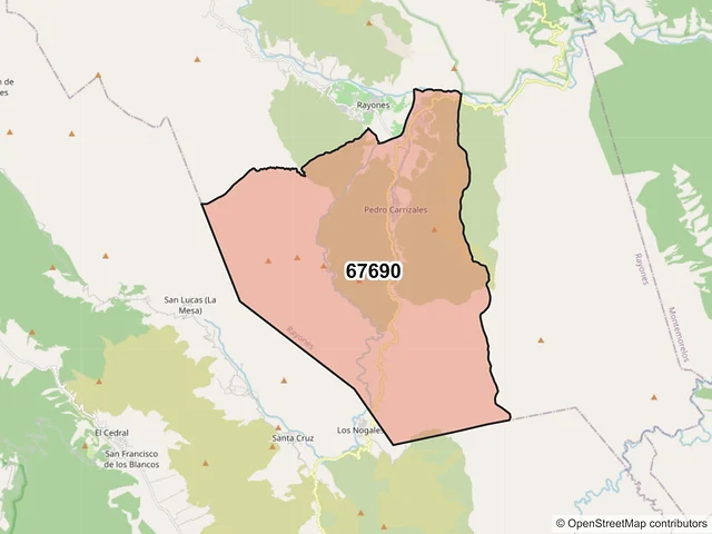 Mapa del código postal 67690, Rayones, Nuevo León