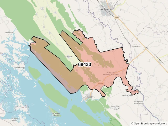 Mapa del código postal 68433, San Miguel Soyaltepec, Oaxaca