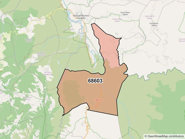 Mapa del código postal 68603, San Juan Bautista Cuicatlán, Oaxaca