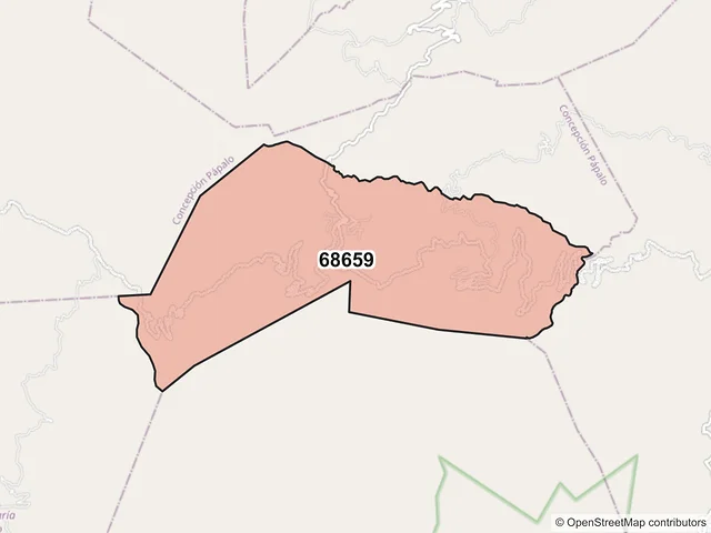 Mapa del código postal 68659, Santa María Pápalo, Oaxaca