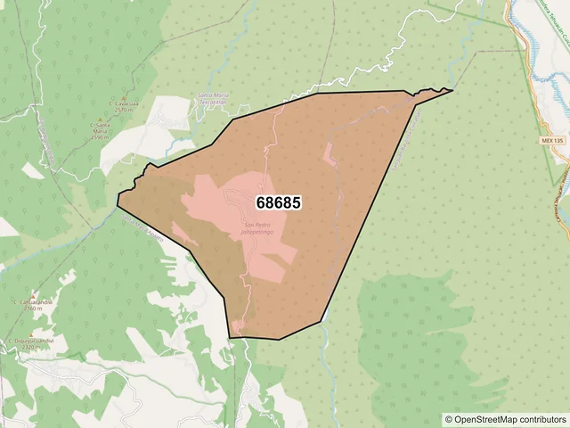Mapa del código postal 68685, San Pedro Jaltepetongo, Oaxaca