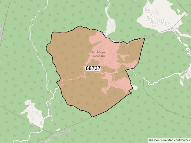 Mapa del código postal 68737, San Miguel Aloápam, Oaxaca