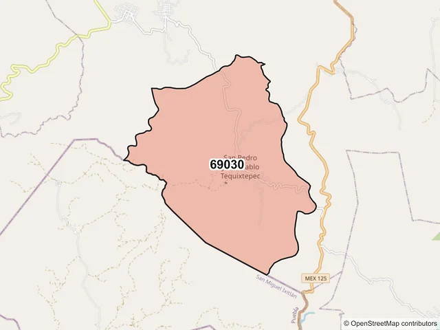 Mapa del código postal 69030, San Pedro y San Pablo Tequixtepec, Oaxaca