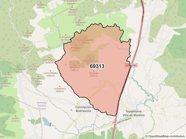 Mapa del código postal 69313, Tepelmeme Villa de Morelos, Oaxaca