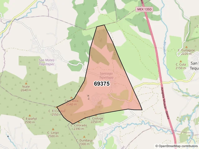 Mapa del código postal 69375, Santiago Tepetlapa, Oaxaca