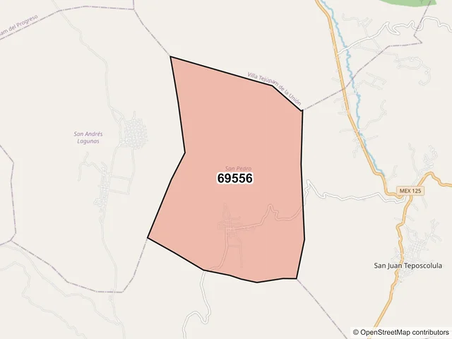 Mapa del código postal 69556, San Pedro Yucunama, Oaxaca