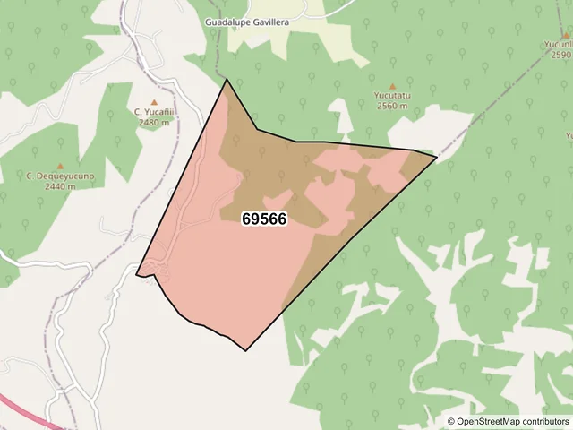 Mapa del código postal 69566, San Bartolo Soyaltepec, Oaxaca