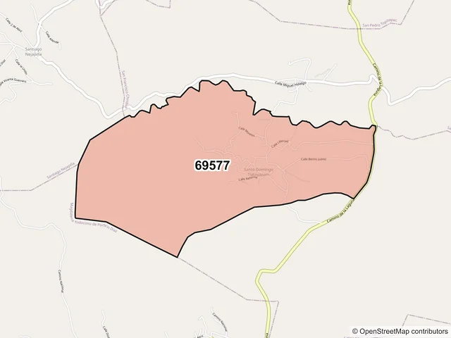 Mapa del código postal 69577, Santo Domingo Tlatayápam, Oaxaca