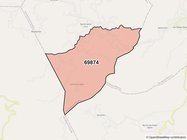 Mapa del código postal 69874, San Antonio Sinicahua, Oaxaca