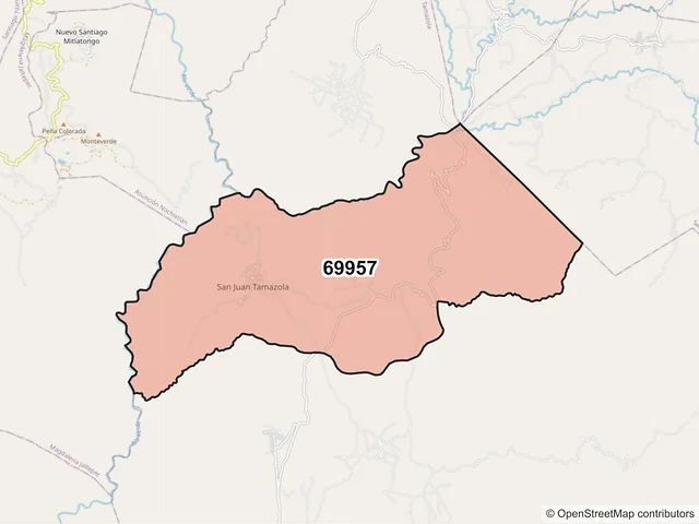 Mapa del código postal 69957, San Juan Tamazola, Oaxaca