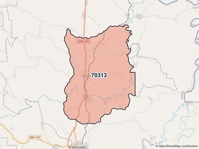 Mapa del código postal 70313, Matías Romero Avendaño, Oaxaca