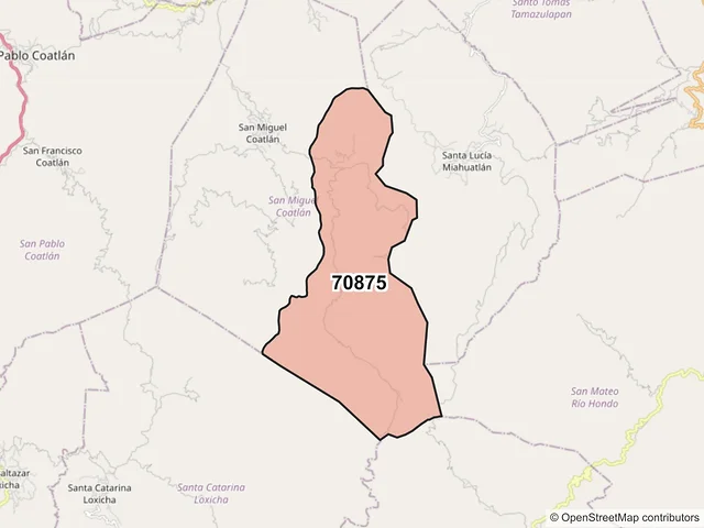 Mapa del código postal 70875, San Miguel Coatlán, Oaxaca