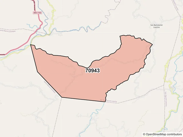 Mapa del código postal 70943, San Bartolomé Loxicha, Oaxaca