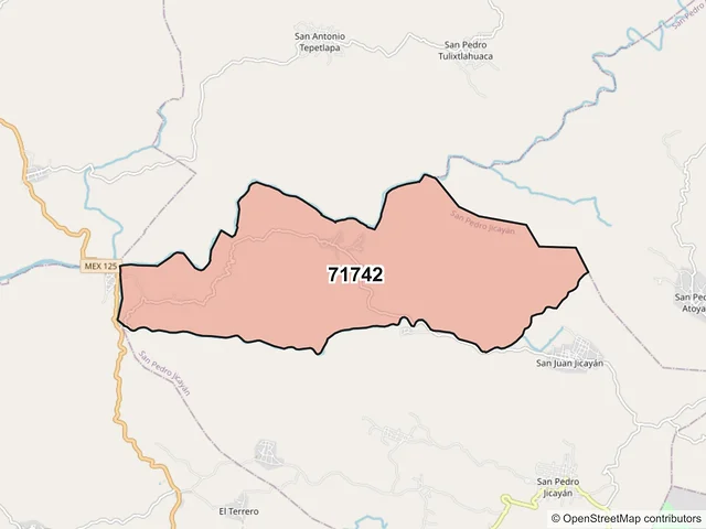 Mapa del código postal 71742, San Pedro Jicayán, Oaxaca