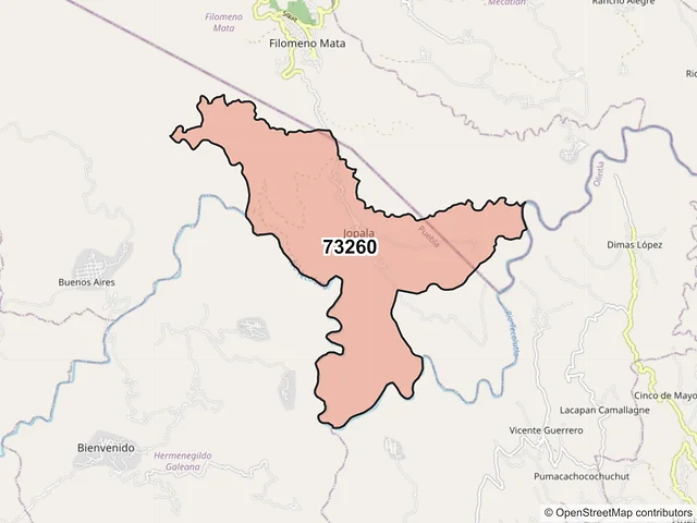 Mapa del código postal 73260, Jopala, Puebla