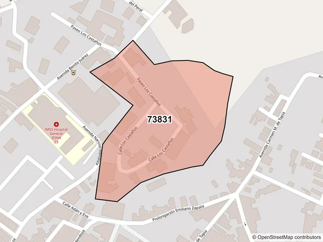 Mapa del código postal 73831, Teziutlán, Puebla