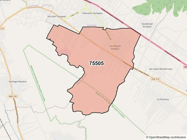 Mapa del código postal 75505, Palmar de Bravo, Puebla