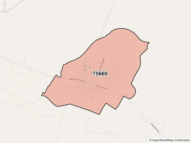 Mapa del código postal 75660, Xochitlán Todos Santos, Puebla