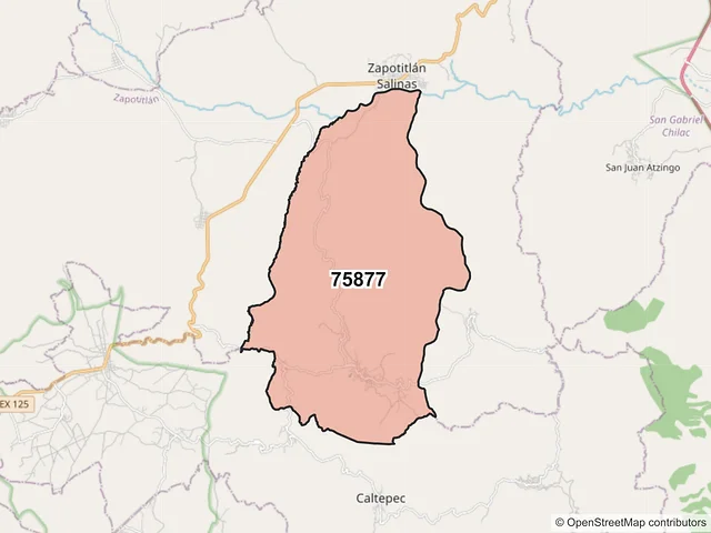 Mapa del código postal 75877, Zapotitlán, Puebla