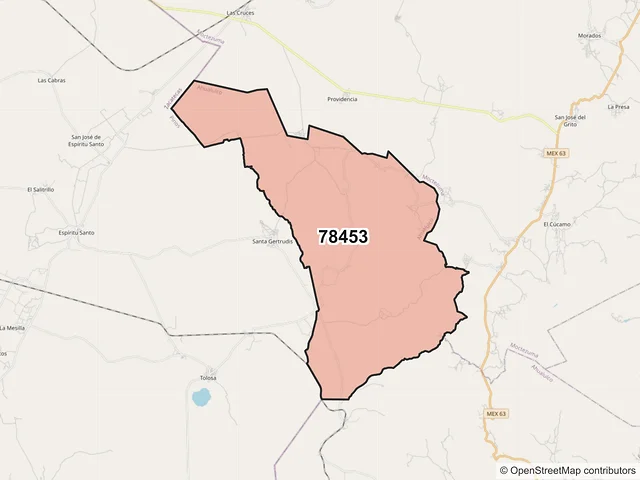 Mapa del código postal 78453, Ahualulco, San Luis Potosí