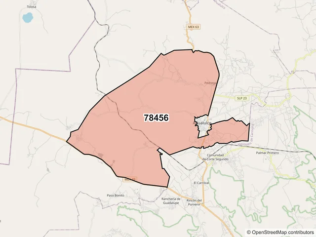 Mapa del código postal 78456, Ahualulco, San Luis Potosí