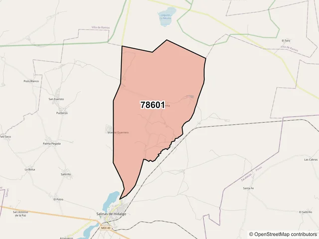 Mapa del código postal 78601, Salinas, San Luis Potosí