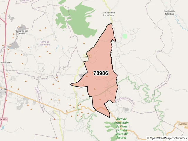 Mapa del código postal 78986, Armadillo de los Infante, San Luis Potosí