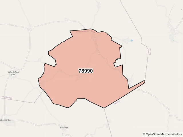 Mapa del código postal 78990, Armadillo de los Infante, San Luis Potosí