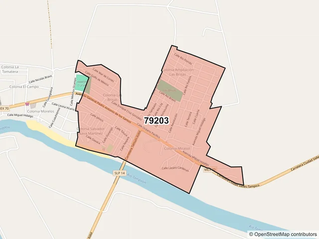 Mapa del código postal 79203, Tamuín, San Luis Potosí