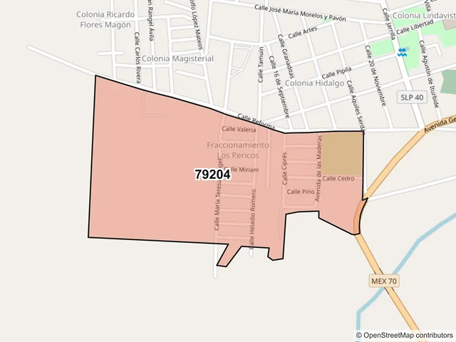 Mapa del código postal 79204, Tamuín, San Luis Potosí