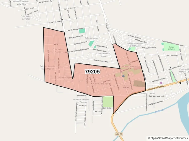 Mapa del código postal 79205, Tamuín, San Luis Potosí