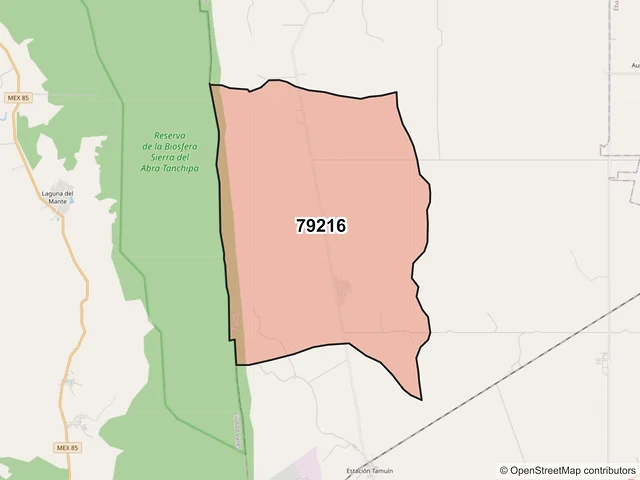 Mapa del código postal 79216, Tamuín, San Luis Potosí