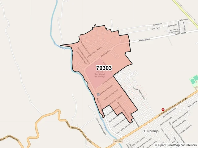 Mapa del código postal 79303, El Naranjo, San Luis Potosí