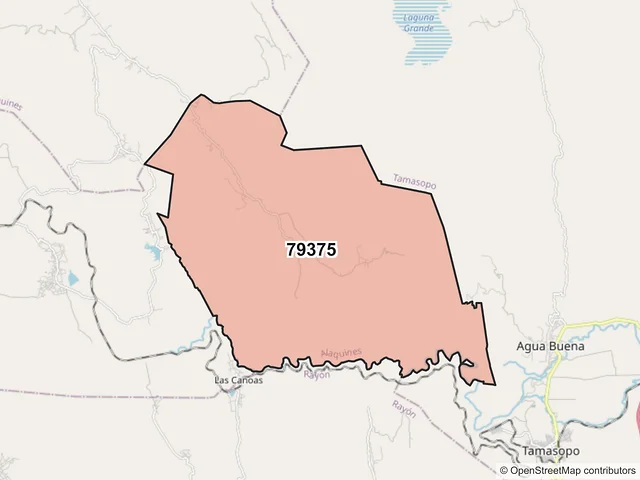 Mapa del código postal 79375, Alaquines, San Luis Potosí