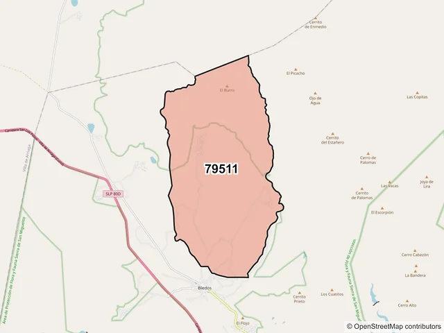 Mapa del código postal 79511, Villa de Reyes, San Luis Potosí
