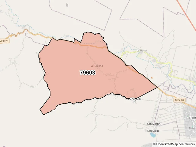 Mapa del código postal 79603, Rioverde, San Luis Potosí