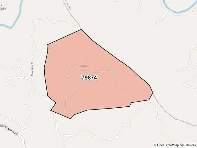 Mapa del código postal 79874, Coxcatlán, San Luis Potosí