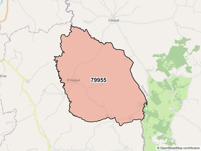 Mapa del código postal 79955, San Martín Chalchicuautla, San Luis Potosí